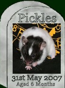[Pickles ]