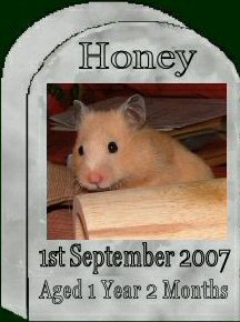 [Honey ]