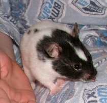 [Pickles  on Quinn ]