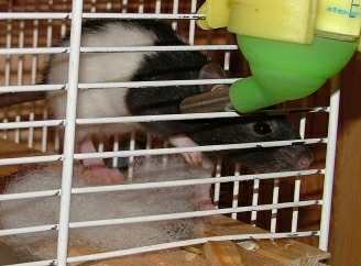 [Nicola by water bottle ]